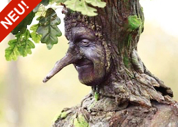 Der lebende Baum für Veranstaltungen aller Art